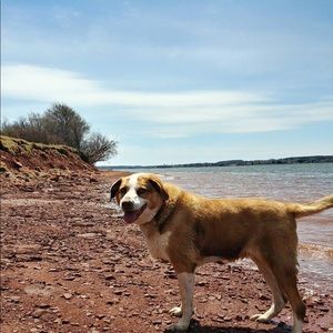 Meet your Posher, Vita